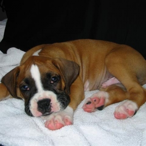 Damon at 7 weeks