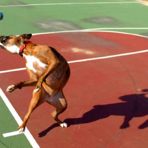 Ball2