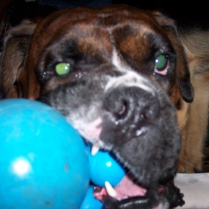 Tobie W-Cuz