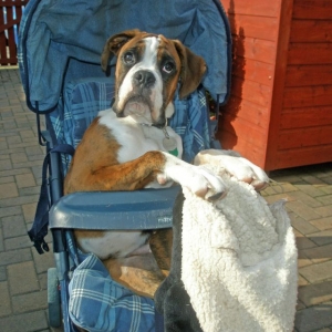 Walkies!