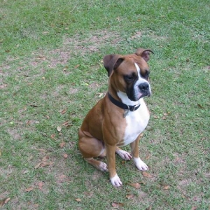 Damon sitting proper
