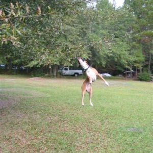 Michael Jordan's got nothing on me