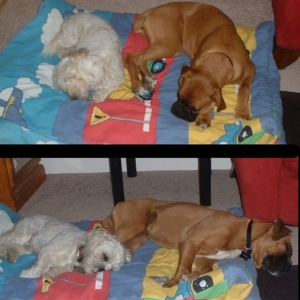 Let's lay this way... no, let's lay that way!
