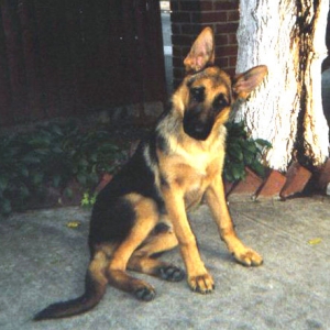 Simon @ 6 months