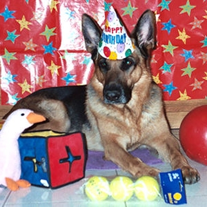 Simon's 5th Birthday