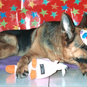 Birthdays are exhausting