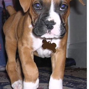Our new baby