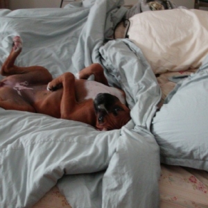 But, I'm soooo comfortable