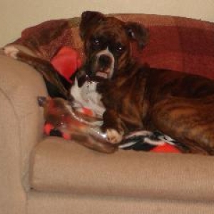 Tyson at 14 months