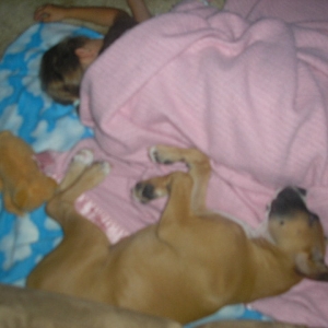 Picture_1851