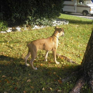 Picture_173
