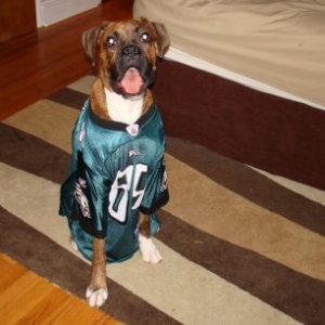Eagles