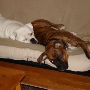 Miller & Kayla