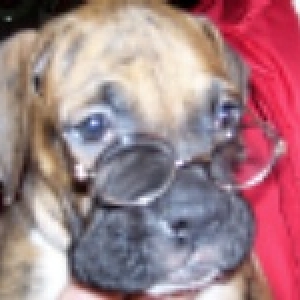 Smart boxer