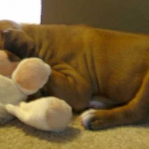 First night home...My first friend.