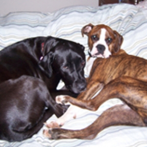 Jockser and Molly