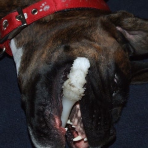 Bruno