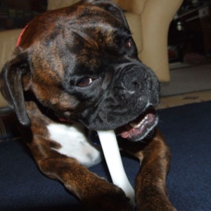 Bruno