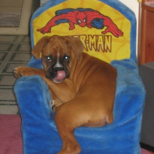 14 wks