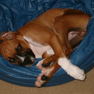 just lounging around