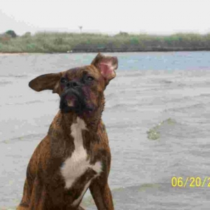 CJ at the beach