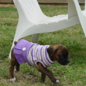 Ilsa's sunday dress... hehe!