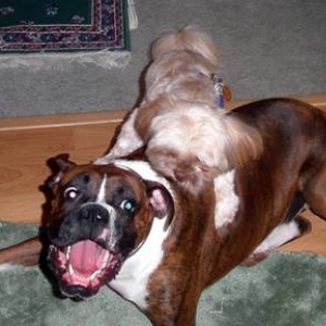 Gotcha!