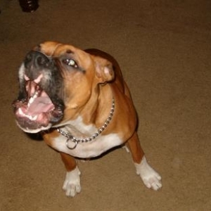 dont take my picture