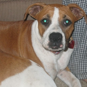 Lola 6 mos old