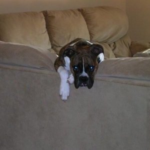Sadie5