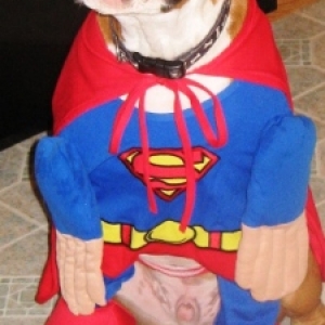 Super Tucker