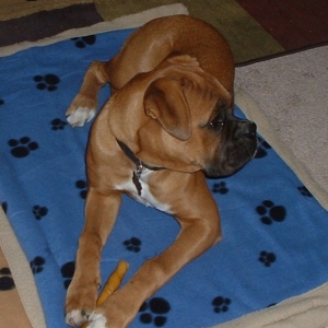 Lewis - 6 months