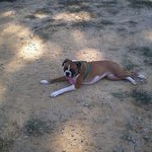 Woo-hoo I'm pooped!