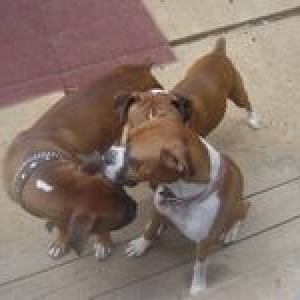 You snink. No you stink, No uh you do.....