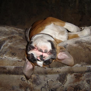 Sleeping