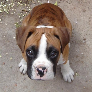 Throw me the ball, please.