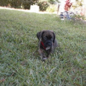 Just Relaxing!  7wks old