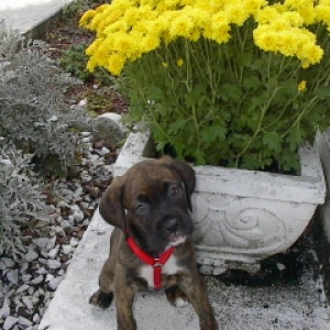 DeLa 7wks
