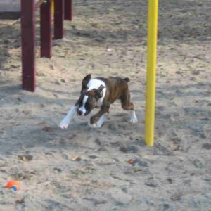 Having a ball..