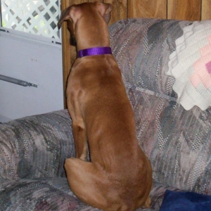 Waiting for Mom to get home