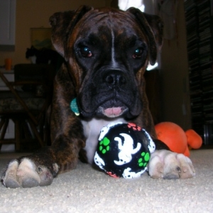 Kilbane