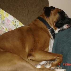 photo2