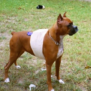 Cisco with Holter Monitor