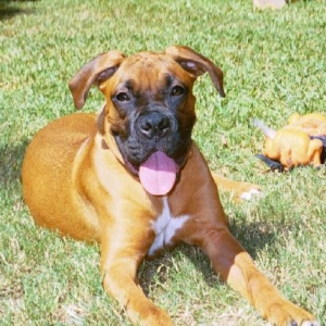 Leila's Smile