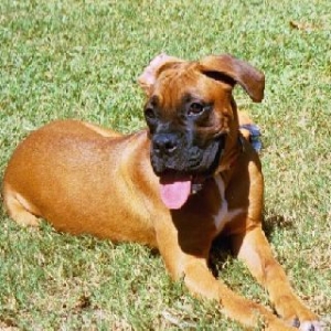 Leila in the sun
