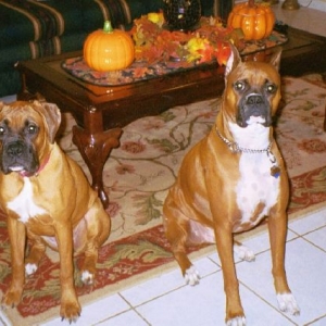 Cisco and Leila - It's Fall!
