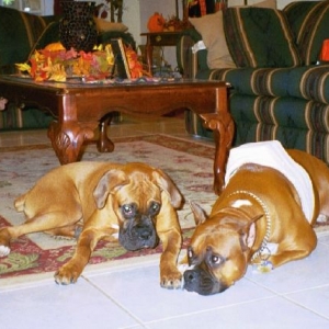 Cisco with Leila