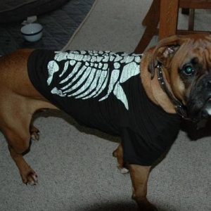 Hallween Costume 2006