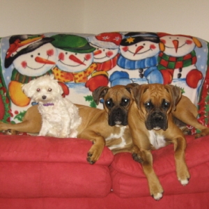 My Girls