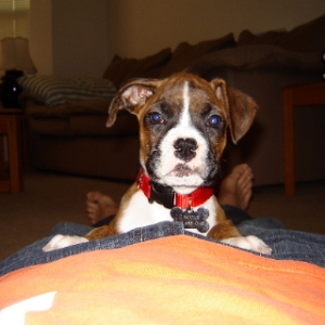 lincoln_9_5_weeks_004_00
